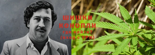 spice Бородино