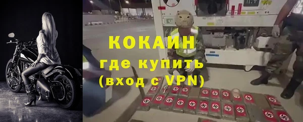 spice Бородино