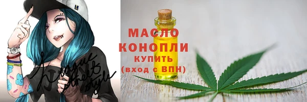 spice Бородино